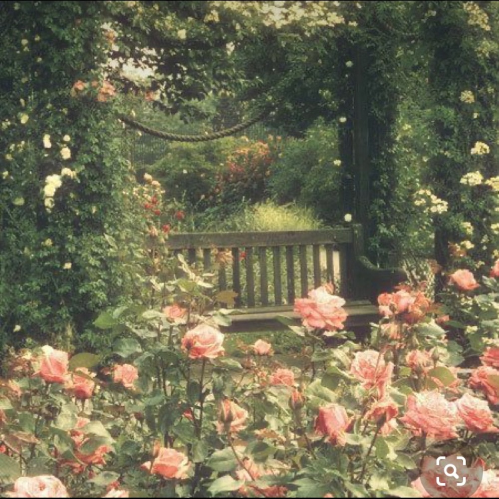 Meet your Posher, Leanis